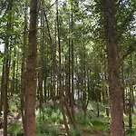 カントリーハウス Park バージニア