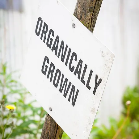 乡村民宿 Park 弗吉尼亚