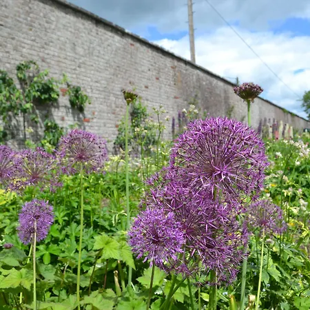Park 乡村民宿 弗吉尼亚