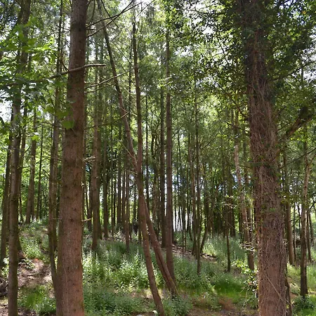 Kır Evi Park Virginia
