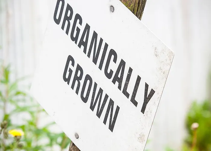 Casa rural Park Virginia