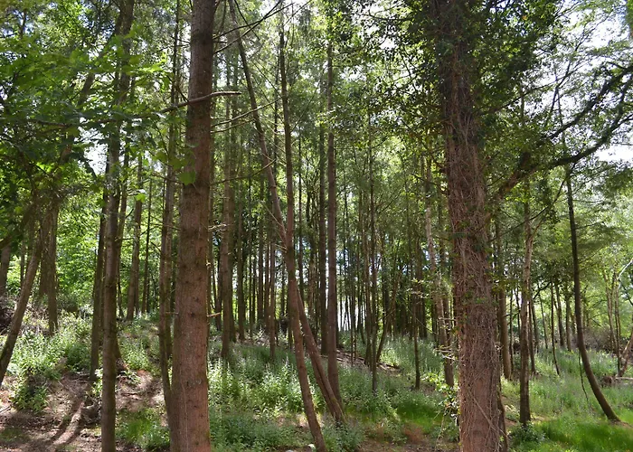 Casa rural Park Virginia